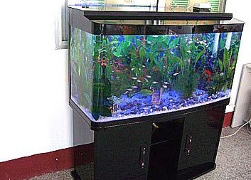 有機(jī)玻璃魚缸,亞克力魚缸,上海有機(jī)玻璃魚缸,亞克力魚缸制作